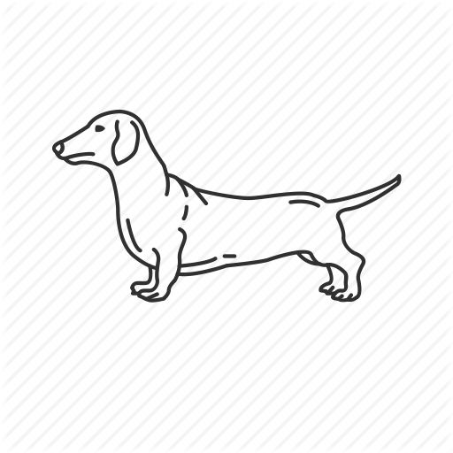 Dachshund, Dog, Dotson, Pet, Puppy, Small Land Mammal, Wiener Dog Icon