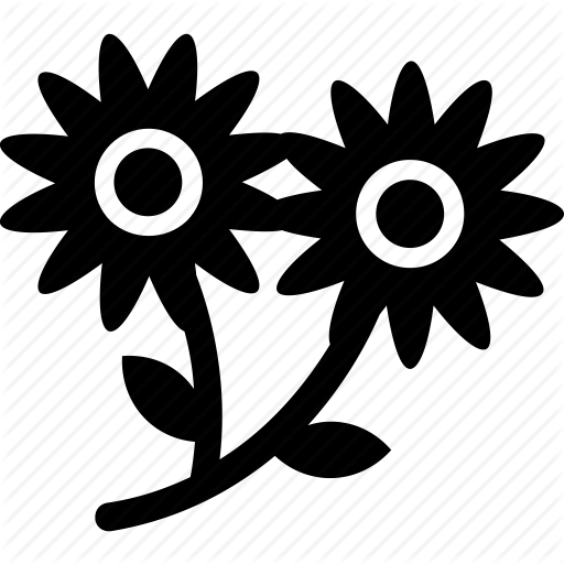 Blossom, Daisy, Floral, Flower, Nature Icon
