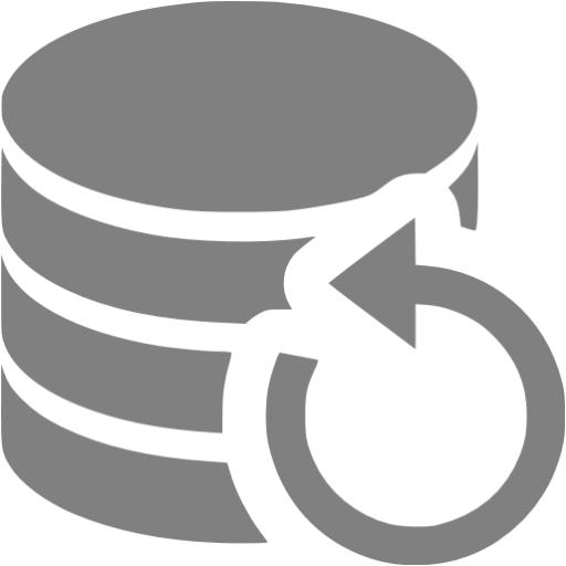 Gray Data Backup Icon