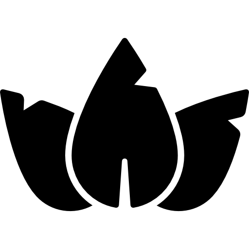 Leaves Icon Spa Freepik