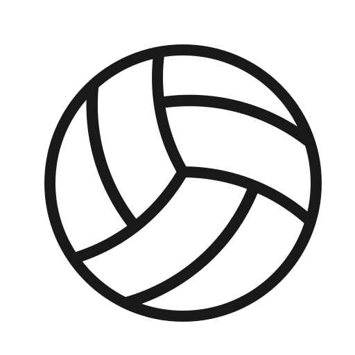 Volleyball Icon