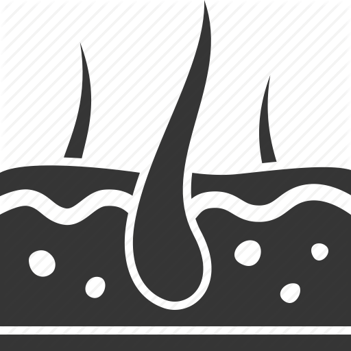 Dermatology, Hair, Scalp Conditions Icon