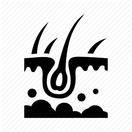 Body, Care, Dermatology, Dermis, Hair, Medical, Skn