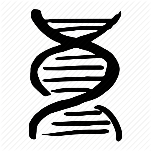 Ancestry, Bio, Biology, Chemistry, Dna, Hand Drawn, Human, Science