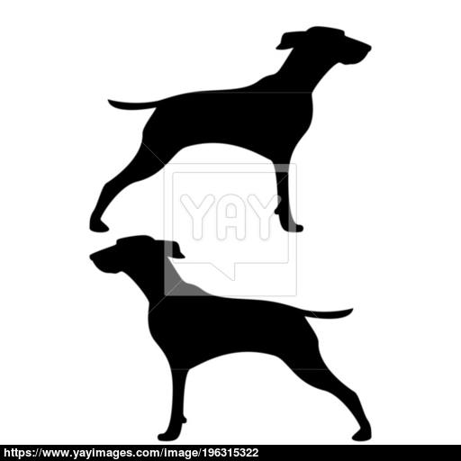 Hunter Dog Or Gundog Icon Black Color Illustration Flat Style