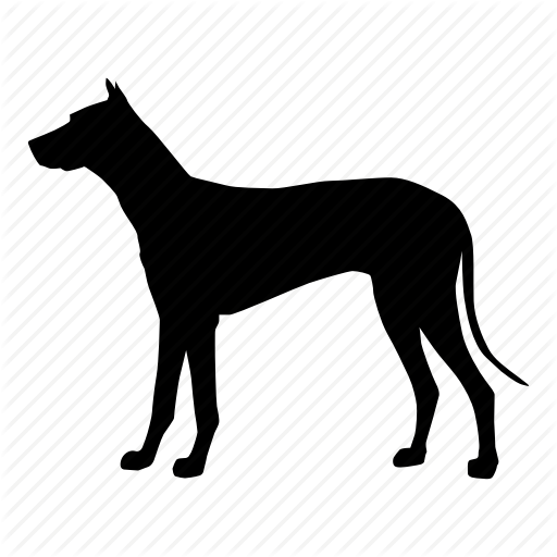 Dog Png Icon