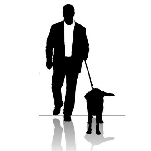 I'll Walk Your Dogs Sarasota Dog Walker Pet Sitting