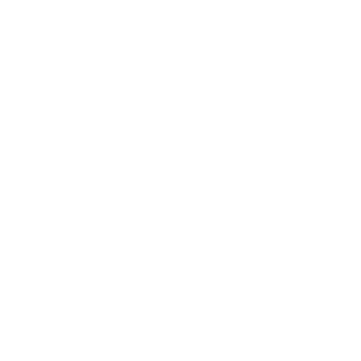 White Dolphin Icon