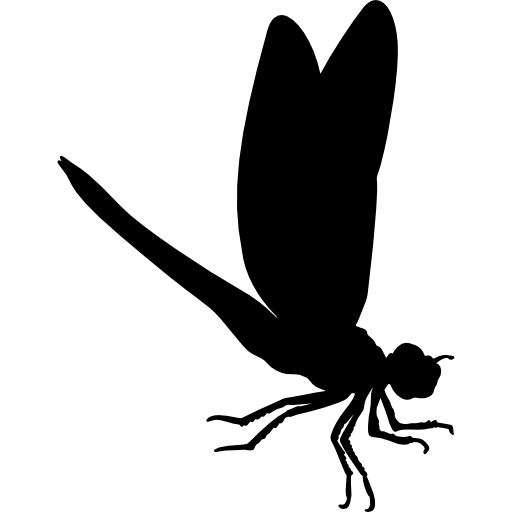 Dragon Fly Insect Animal Shape Icons Free Download