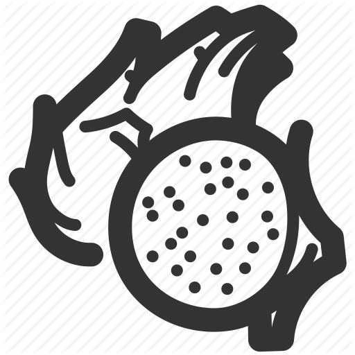 Dragon Fruit, Food, Fruit, Half, Pitahaya, Tropical Icon