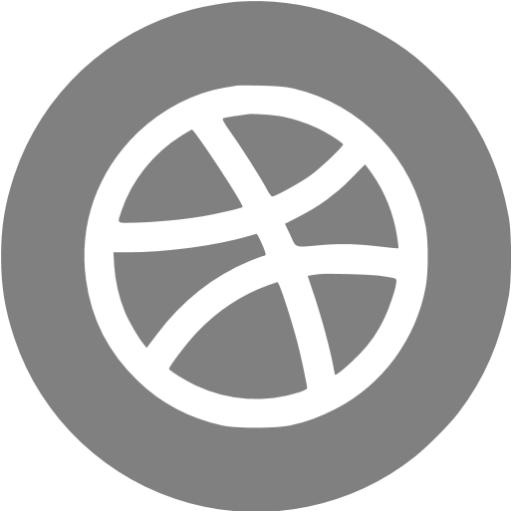 Gray Dribbble Icon