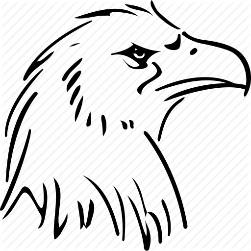 Bird, Claw, Eagle, Head, Leader, Predator, Wild Icon