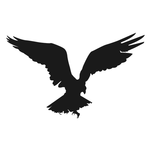 Eagle Bird Flying Silhouette