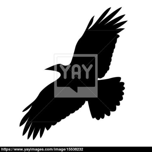 Flying Bird On White Background, Vector Illustration Image