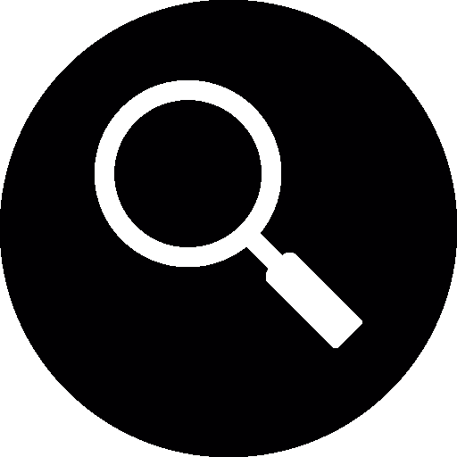 Emerse Electronic Medical Record Search Engine