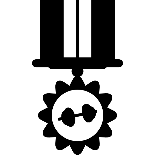 Medal Hanging Of An Elegant Ribbon Icons Free Download