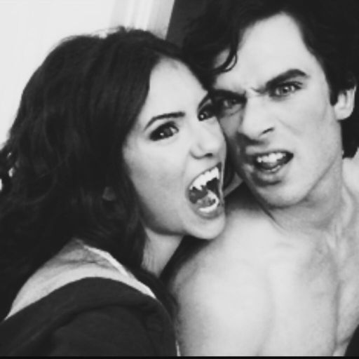 Delena Wiki Tvd Amino