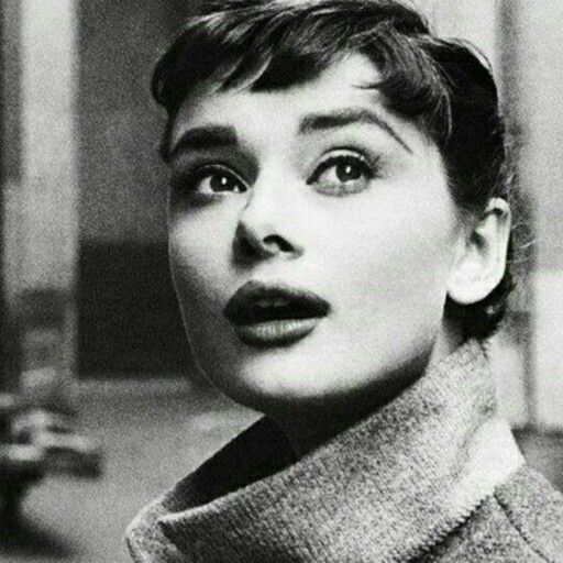 Audrey's Audrey Hepburn