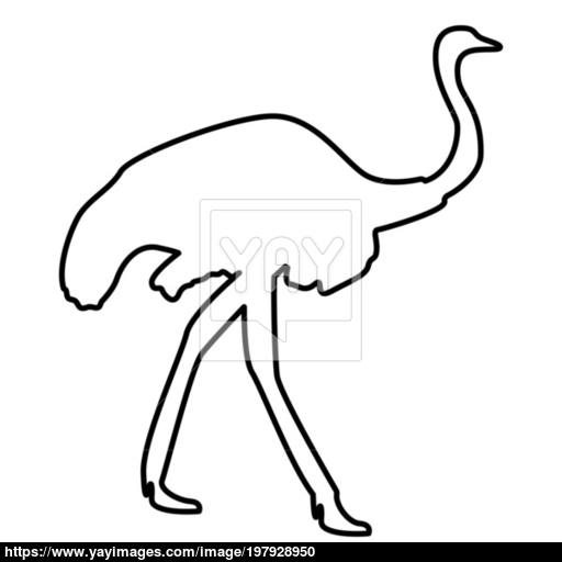 Ostrich Icon Black Color Illustration Flat Style Simple Image