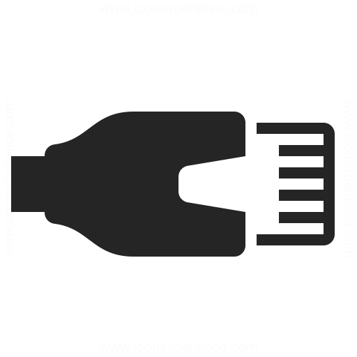 Plug Lan Icon Iconexperience