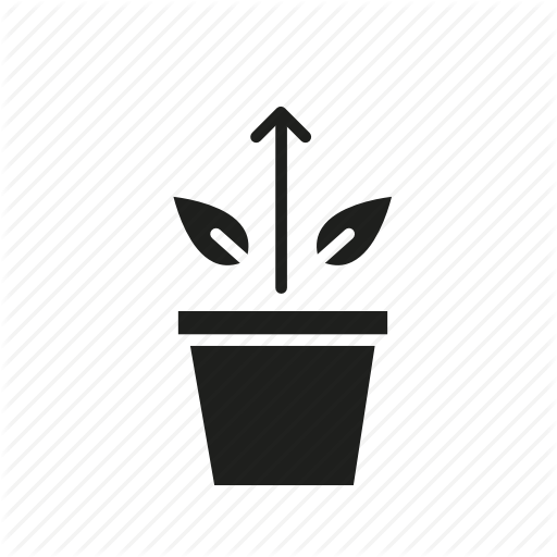 Amplification, Development, Evolution, Growth, Progress, Startup Icon