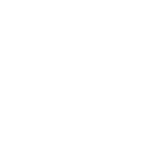 White Excel Icon