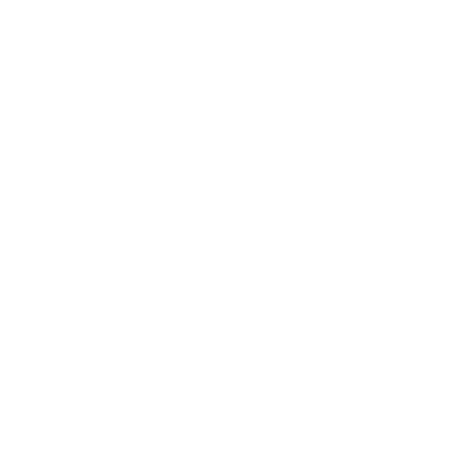White Exe Icon