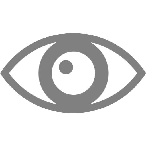Gray Eye Icon