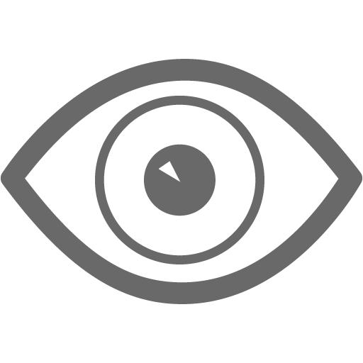 Dim Gray Eye Icon