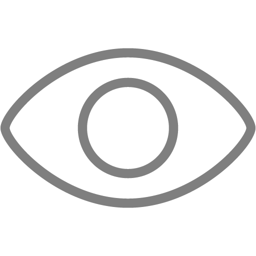 Dim Gray Eye Icon