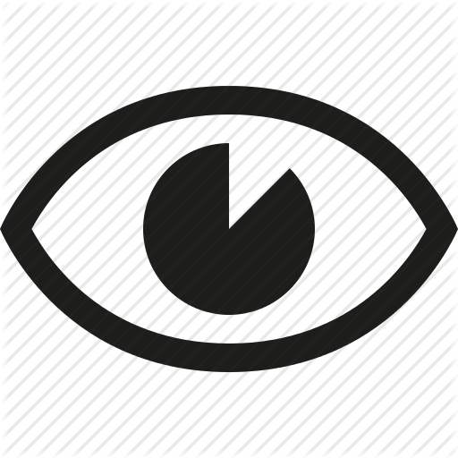 Pictures Of View Eye Icon