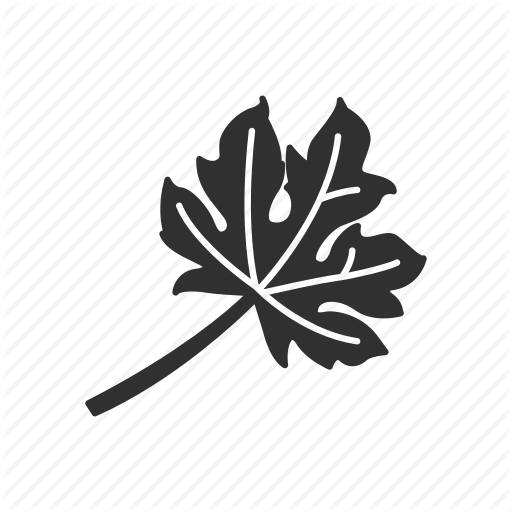 Fall, Harvest, Leaf, Leaves Icon