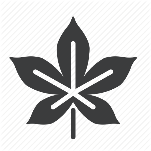 Autumn, Chestnut, Fall, Leaf, Nature, Season Icon