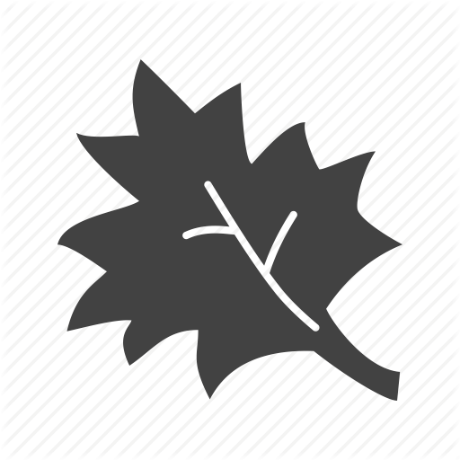 Autumn, Fall, Leaf, Leaves, Maple, Thanksgiving, Yellow Icon