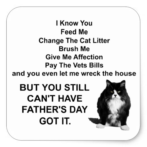 Funny Cat Fathers Day Pay Icon In Contacts Grader