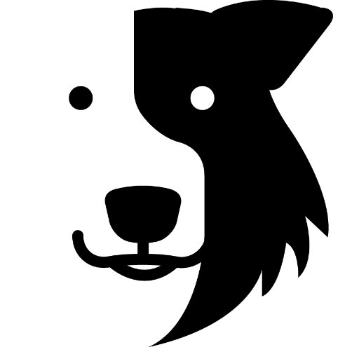 Zak The Collie Dog On Twitter