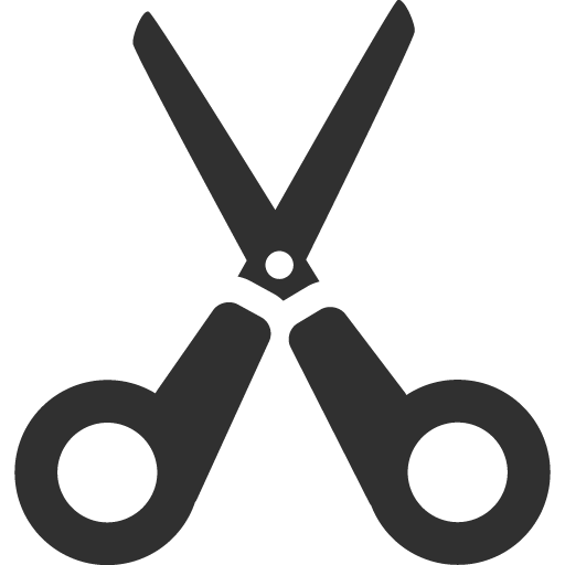 Cut Icon