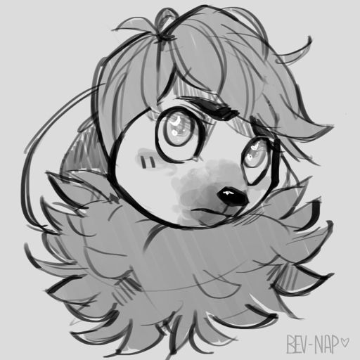 Pleb Boy Tetra Final Fantasy Xv Amino