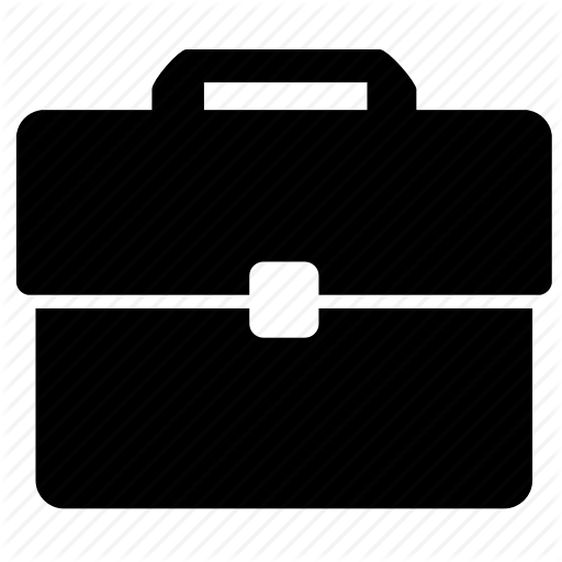 Case, Diplomat, Director, Documents, Firm Icon