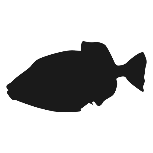 Fish Silhouette Icon