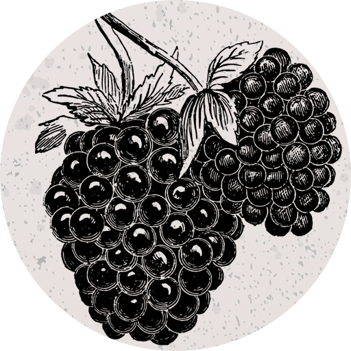 Aperitifs And Spirits Mora Italian Restaurant