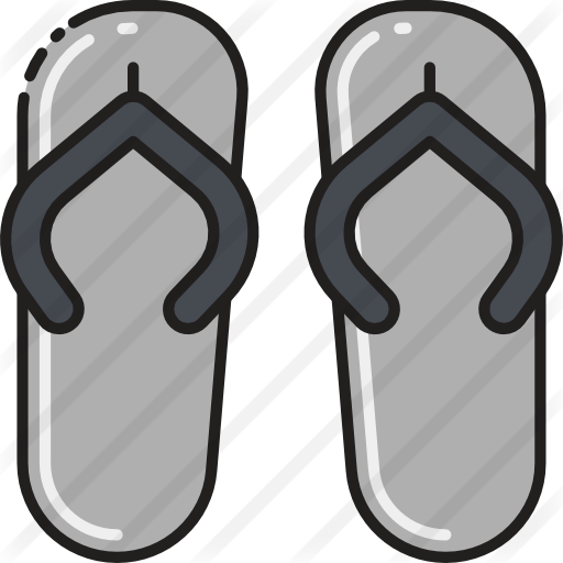 Flip Flops