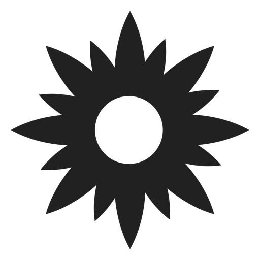 Flower Star Shaped Icon