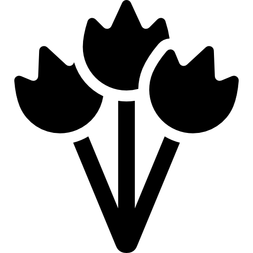 Flower Bouquet Icons Free Download