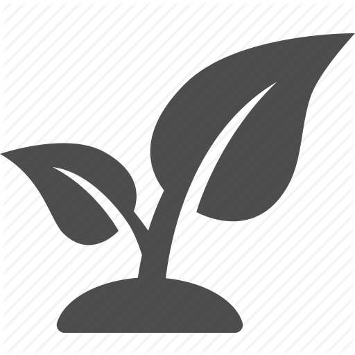 Corn Plant Icon Images