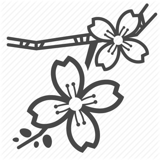 Sakura Flower Vector