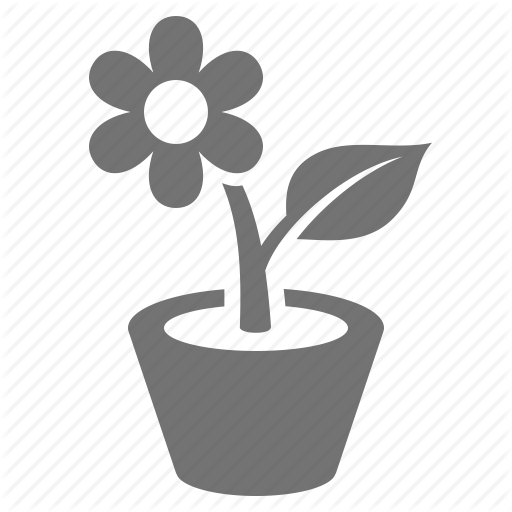 Daisy, Decoration, Flower, Growth, Plant, Pot, Potted Icon