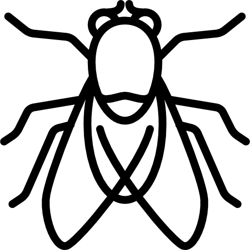 Big Fly Icons Free Download