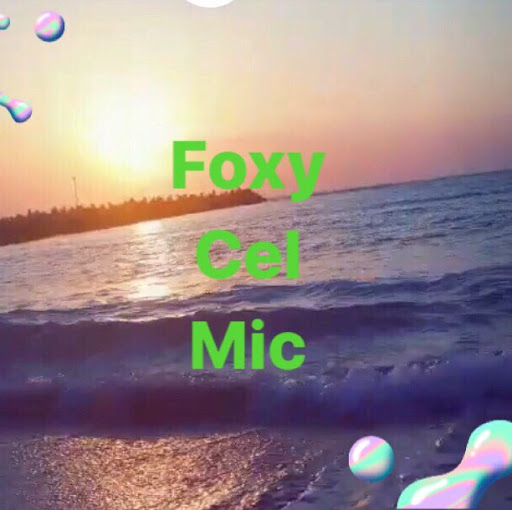 Aventurile Si Inventile Lui Foxy Cel Mic