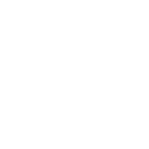 White Wired Network Icon